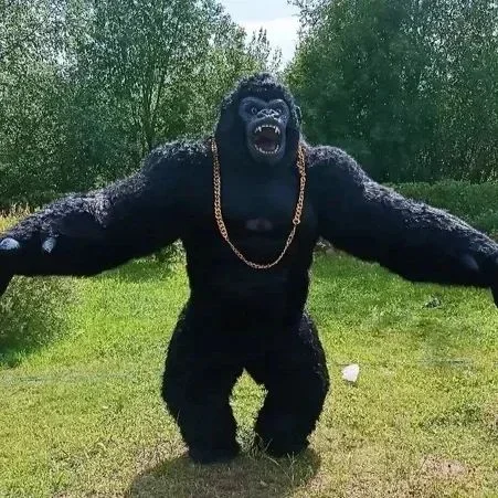 Boże narodzenie prawdziwe życi – Anime Cosplay Real Life recenzja i cena