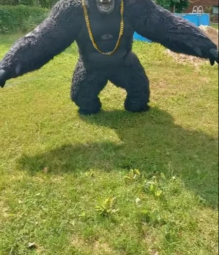 Prawdziwy nadmuchiwany kostium – Anime Cosplay Real Life recenzja i cena